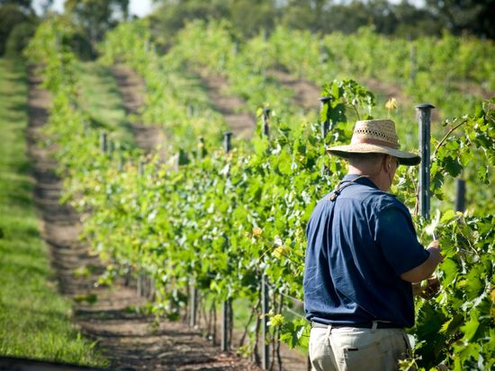 Julian Star_Grounds029 (1)