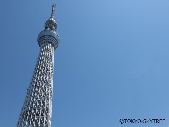 20221012081242_1861891560_10221_0