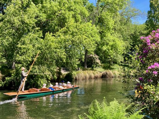 クライストチャーチ探訪ツアー　日本語ガイドと一緒にローカル感あふれる街歩き＜日本語ガイド＞