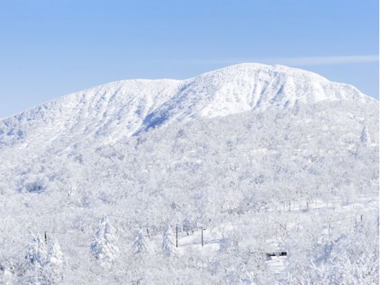登別 樹氷鑑賞スノーシュー体験 オロフレ峠の樹氷エリアをスノーシューで散策＜1～2月／ウェアレンタルあり／登別温泉街送迎＞