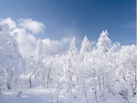 登別 樹氷鑑賞スノーシュー体験 オロフレ峠の樹氷エリアをスノーシューで散策＜1～2月／ウェアレンタルあり／登別温泉街送迎＞