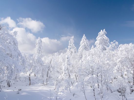 登別 樹氷鑑賞スノーシュー体験 オロフレ峠の樹氷エリアをスノーシューで散策＜1～2月／ウェアレンタルあり／登別温泉街送迎＞