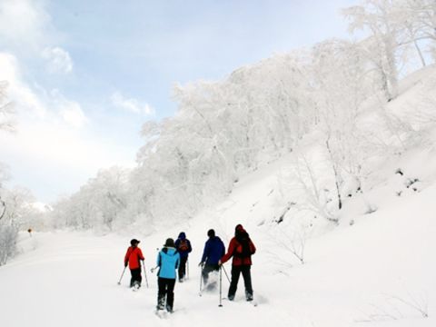 登別 樹氷鑑賞スノーシュー体験 オロフレ峠の樹氷エリアをスノーシューで散策＜1～2月／ウェアレンタルあり／登別温泉街送迎＞