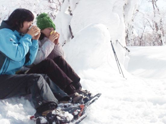 登別 樹氷鑑賞スノーシュー体験 オロフレ峠の樹氷エリアをスノーシューで散策＜1～2月／ウェアレンタルあり／登別温泉街送迎＞