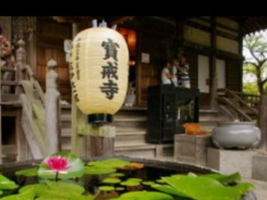 【プライベートツアー】鎌倉生まれ鎌倉育ちのベテランガイドがレアな鎌倉をご案内！覚園寺 荏柄天神 北条義時・源頼朝法華堂 鶴岡八幡宮を参拝＜午後／鎌倉駅発＞