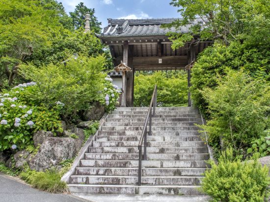 【プライベートツアー】鎌倉生まれ鎌倉育ちのベテランガイドがレアな鎌倉をご案内！覚園寺 荏柄天神 北条義時・源頼朝法華堂 鶴岡八幡宮を参拝＜午後／鎌倉駅発＞