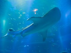 pixta_7381451_M