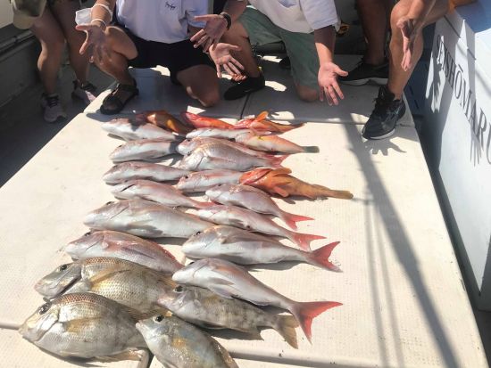 船釣り体験　手ぶらでOK♪ 憧れの玄界灘で釣りを体験！インストラクターのサポート付きで初心者も安心＜3・5・10時間／壱岐市＞