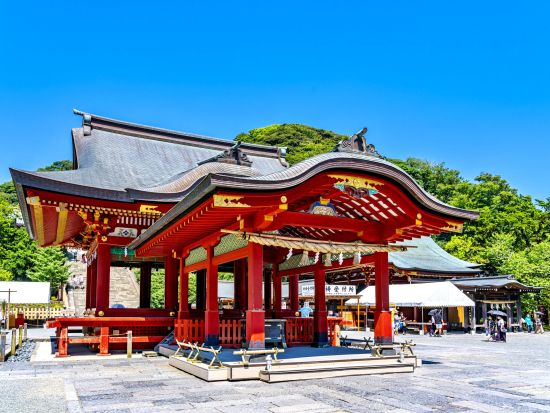 鎌倉生まれ鎌倉育ちのベテランガイド ミラクルミホの鎌倉散歩！銭洗弁天で正式参拝方法を伝授  鶴岡八幡宮などアレンジ自由なプライベートツアー＜1日／鎌倉駅発＞