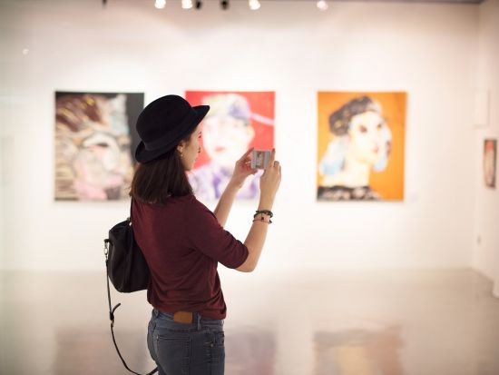 メトロポリタン美術館・ニューヨーク近代美術館・フリックコレクション 選べる美術館鑑賞ツアー＜4時間／午前・午後／日本語ガイド／貸切＞