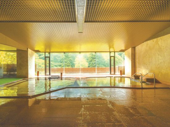 【上野駅発】群馬県 伊香保温泉行きツアー JR＋福一1泊2日 こだわりの厳選素材を使った和食会席 予約と同時に座席指定！