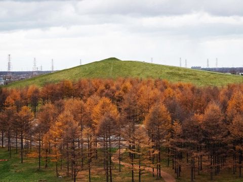 【ロードバイク／サイクリング】 モエレ沼公園アートめぐりコース15Km 公道を走らないので初心者も安心＜初心者向け／半日／市内送迎有／札幌市＞by SAN