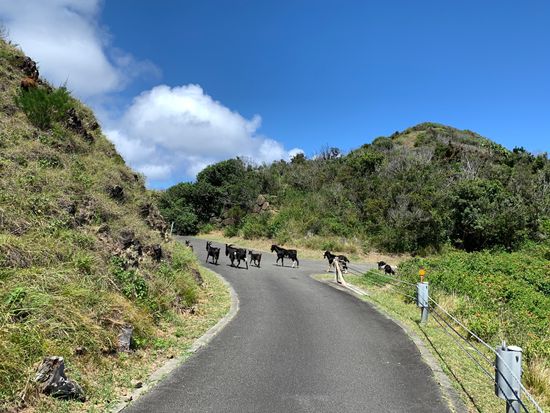 image_長崎展望台2