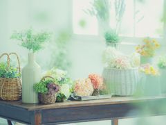 pixta_86167696_M