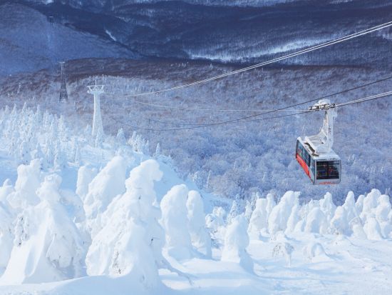 貸切観光タクシー 八甲田山と奥入瀬渓流散策コース＜八戸駅・八戸市内発十和田湖周辺着／7時間＞by ポストタクシー