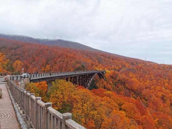 八甲田・酸ヶ湯温泉送迎観光タクシー 三内丸山遺跡、青森県立美術館、八甲田山雪中行軍遭難資料館、城ヶ倉大橋から2か所観光＜最大9名／2時間半／八甲田エリア発＞