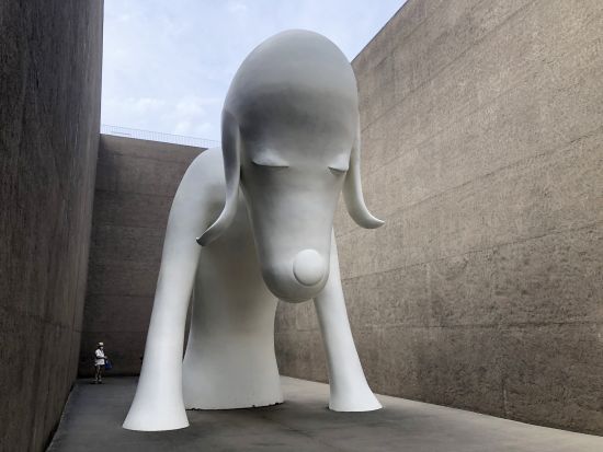 八甲田・酸ヶ湯温泉送迎観光タクシー 三内丸山遺跡、青森県立美術館、八甲田山雪中行軍遭難資料館、城ヶ倉大橋を観光＜最大9名／3時間半／八甲田エリア発＞