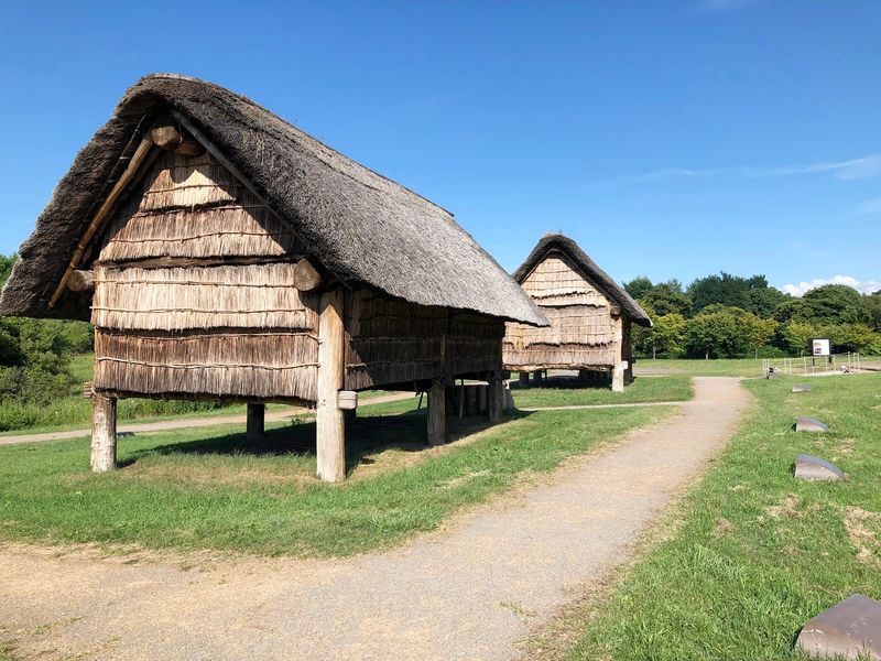 三内丸山遺跡 (8)