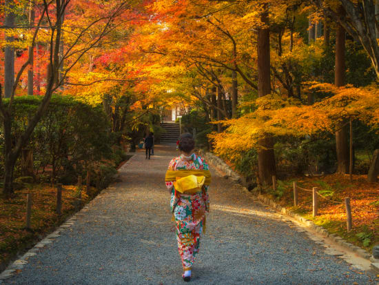 Japan_Generic Photos_Autumn_shutterstock_659118769
