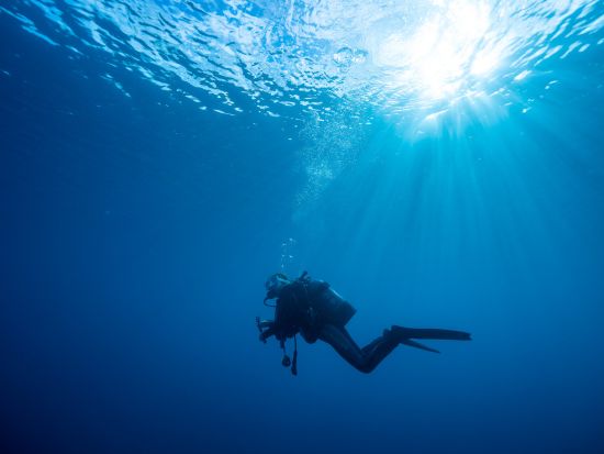 ファンダイビング 小型平船タイプの船から揺れに強いカタマラン船あり 全面バリアフリー設計の共有スペース完備　＜Cカード取得者のみ／瀬戸内町＞byゼログラビティ