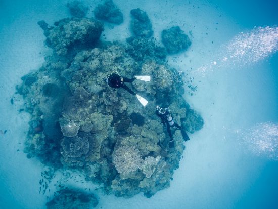 ファンダイビング 小型平船タイプの船から揺れに強いカタマラン船あり 全面バリアフリー設計の共有スペース完備　＜Cカード取得者のみ／瀬戸内町＞byゼログラビティ