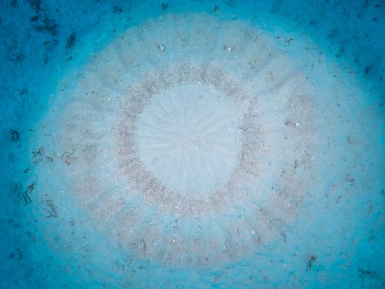 ファンダイビング 小型平船タイプの船から揺れに強いカタマラン船あり 全面バリアフリー設計の共有スペース完備　＜Cカード取得者のみ／瀬戸内町＞byゼログラビティ