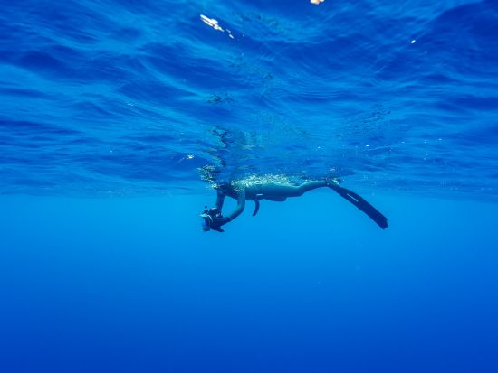 ホエールスイム（※参加条件あり）船の上と海の中でクジラと出会う感動の体験＜1～3月／瀬戸内町＞by ゼログラヴィティ