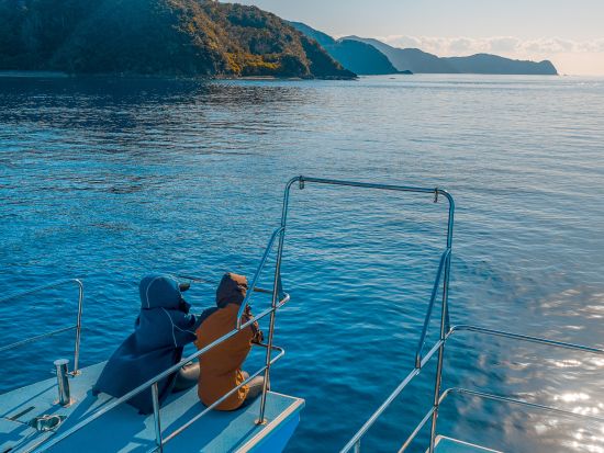 ホエールスイム（※参加条件あり）船の上と海の中でクジラと出会う感動の体験＜1～3月／瀬戸内町＞by ゼログラヴィティ