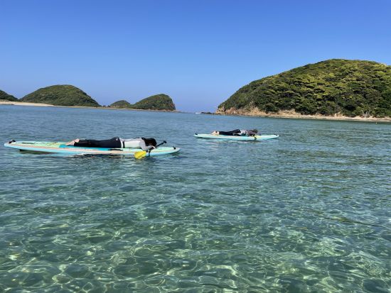 SUP体験　初心者歓迎！壱岐イルカパーク周辺を中心に風向きや天候に併せて快適なポイントでクルージング ＜1時間30分／壱岐市＞ by 壱岐イルカパーク&リゾート