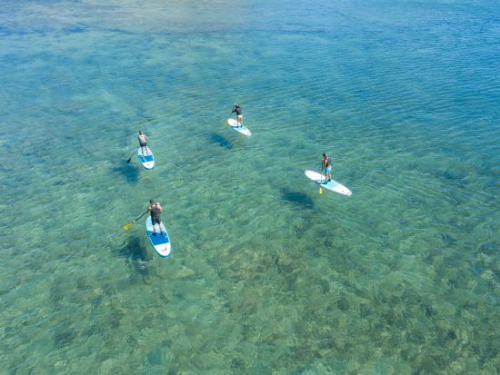 SUP体験　初心者歓迎！壱岐イルカパーク周辺を中心に風向きや天候に併せて快適なポイントでクルージング ＜1時間30分／壱岐市＞ by 壱岐イルカパーク&リゾート