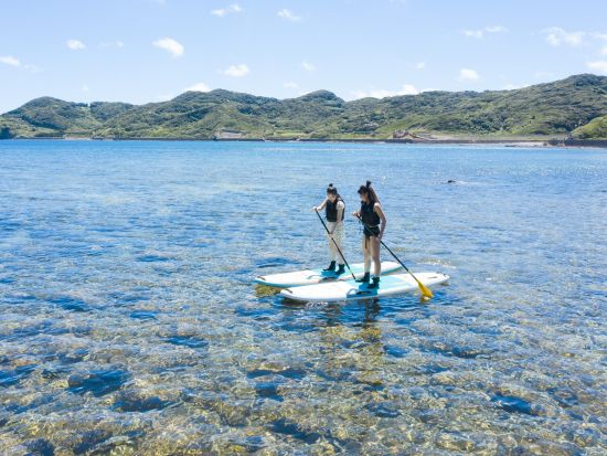 SUP体験　初心者歓迎！壱岐イルカパーク周辺を中心に風向きや天候に併せて快適なポイントでクルージング ＜1時間30分／壱岐市＞ by 壱岐イルカパーク&リゾート
