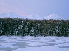 pixta_79039143_M