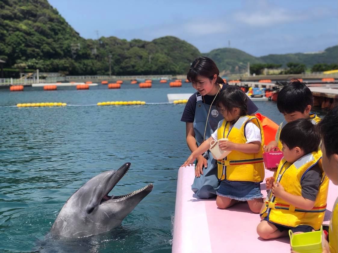 イルカ餌やり体験 イルカパークで一番人気のプログラム！デッキの上