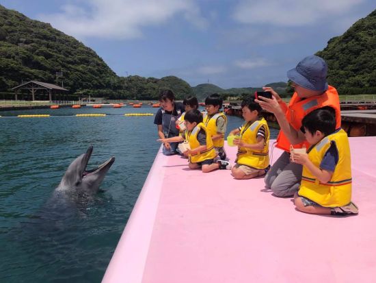 イルカ餌やり体験　イルカパークで一番人気のプログラム！デッキの上からイルカたちにごはんをあげよう ＜約30分／入園料込み／壱岐市＞