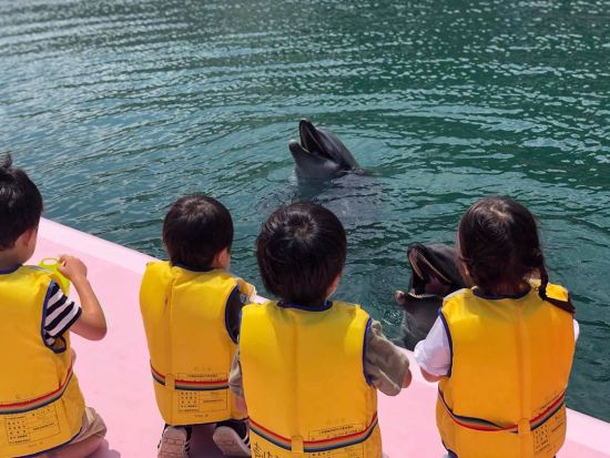 イルカ餌やり体験　イルカパークで一番人気のプログラム！デッキの上からイルカたちにごはんをあげよう ＜約30分／入園料込み／壱岐市＞