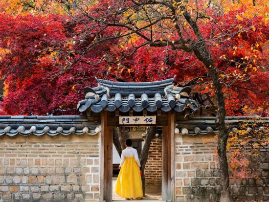 【貸切チャーター】ソウル市内＆郊外を自由に観光　推し活や美容旅行にも対応します！ ＜4～8時間／日本語ガイド／最大13名＞ ※車1台あたり料金