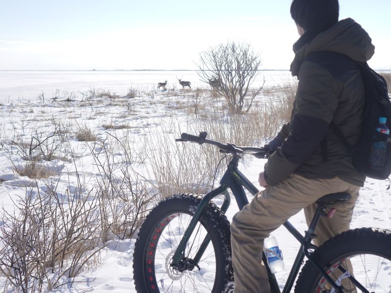 ファットバイク４