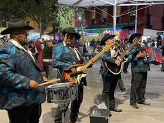 IMG_3145 (1)