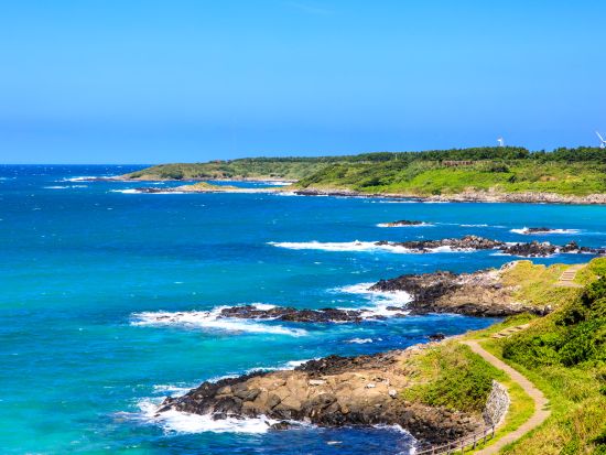 貸切観光タクシー　朝ドラロケ地めぐり　大浜アコウの木＋富江黒瀬漁港＋大瀬崎灯台＋高浜海水浴場＋水ノ浦教会＋魚津ヶ崎公園＜6時間／福江島・五島市＞by五島タクシー