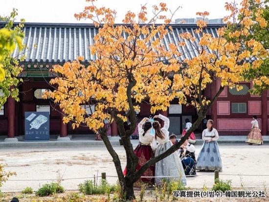 ソウル市内観光ツアー　景福宮（キョンボックン）＆三清洞　韓服を着て散策を楽しむ！ 韓国料理ランチ込み＜午前／日本語ガイド＞