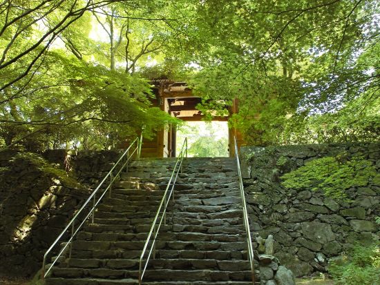 貸切観光タクシー 霊峰五色台三霊場参り 人数に合わせた車種で巡る旅＜5時間／1-8名／選べる送迎場所／高松市発着＞