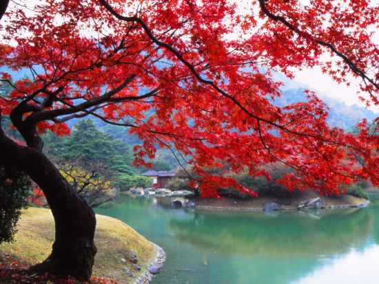 貸切観光タクシー 高松の名勝巡りと伝統芸「和三盆づくり」が体験できる高松満喫コース＜5時間／1-8名／選べる送迎場所／高松市発着＞