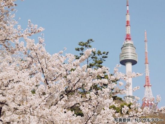午後発！Nソウルタワー展望台入場＆ロープウェイ搭乗ツアー　Nソウルタワーから街並みを観賞 ＜明洞エリア往復 徒歩案内付き＞