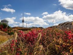 pixta_45025026_M
