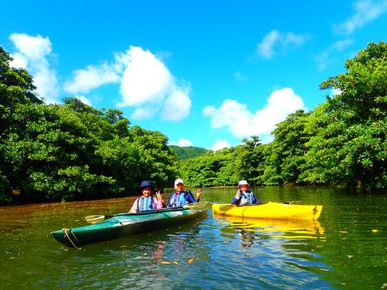 マングローブカヌー＋ピナイサーラの滝トレッキングツアー　半日で沖縄県最大の滝を満喫！＜上原港または西部地区ホテル無料送迎／西表島＞
