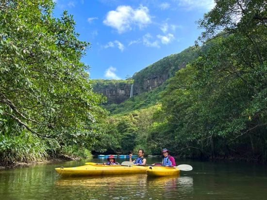 マングローブカヌーツアー　カヌーだけを手軽に体験！山歩きがないので元気な70代でも安心して楽しめる＜当日10時まで予約可／島内指定ホテル無料送迎／西表島＞