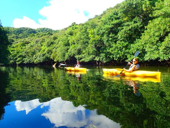 マングローブカヌーツアー　カヌーだけを手軽に体験！山歩きがないので元気な70代でも安心して楽しめる＜当日10時まで予約可／島内指定ホテル無料送迎／西表島＞