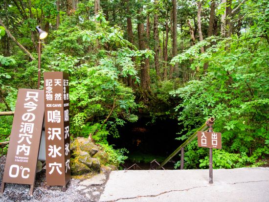 富士山麓 探検サイクリングツアー！地元ガイドの案内で行く溶岩洞窟探検＜富士河口湖町＞