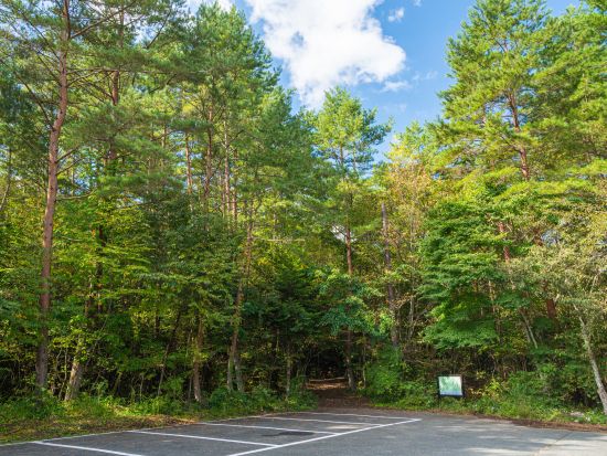 富士山麓 探検サイクリングツアー！地元ガイドの案内で行く溶岩洞窟探検＜富士河口湖町＞