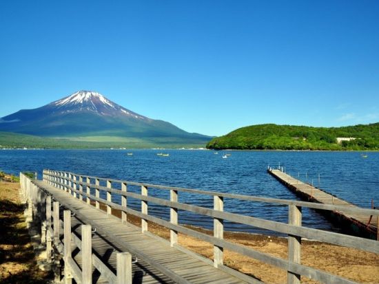 地元ガイドの案内で行く！山中湖一周サイクリングツアー　富士五湖で一番大きな湖を周遊！＜午前・午後／山中湖村＞